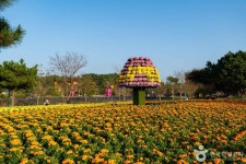 Korea Flower Park (코리아플라워파크) - Sightseeing - Korea travel and tourism information