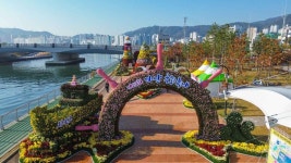 마산가고파국화축제 최신 축제 공연 행사 정보와 주변 관광 명소 및 근처 맛집 여행 정보