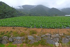 평창문화관광 > 관광명소 > 평창관광지 평창문화관광  &gt; 관광명소 &gt; 평창관광지