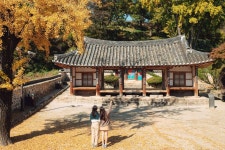 무성서원 [유네스코 세계유산] 관광 정보와 주변 관광 명소 및 근처 맛집 여행 정보