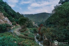 좌구산 자연휴양림 관광 정보와 주변 관광 명소 및 근처 맛집 여행 정보