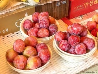 충주 민속5일 풍물시장 쇼핑 정보와 주변 관광 명소 및 근처 맛집 여행 정보