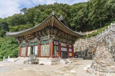 용덕사 관광 정보와 주변 관광 명소 및 근처 맛집 여행 정보