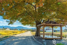 Ảnh kết quả tìm kiếm Naver 4