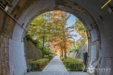 노암터널 관광 정보와 주변 관광 명소 및 근처 맛집 여행 정보