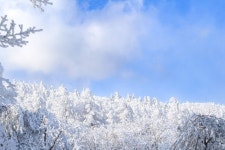태백산 천제단 - 주변 여행 및 근처 관광 명소 - 국내 여행 정보와 관광 명소 정보