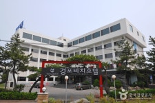 Gyungpo Beach Hotel (경포비치호텔) - Accommodation - Korea travel and tourism information