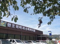 통합검색결과 | 대한민국 구석구석