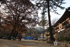 팔공산 닭갈비 - 주변 여행 및 근처 관광 명소 - 국내 여행 정보와 관광 명소 정보