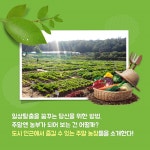 [여행 카드] 주말엔 농장으로 가요 - 최신기사 | 구석구석 떠나볼까 | 대한민국구석구석