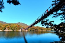 마장호수 출렁다리 | NOL 인터파크투어 프리야 여행정보 [대한민국... [마장호수 출렁다리] 깔끔하게 조성된 공원과 분수대를 감상하며 곳곳에... 