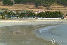 Jungni Beach (중리해수욕장) - Sightseeing - Korea travel and tourism information