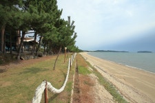 월하성어촌체험마을 - 주변 여행 및 근처 관광 명소 - 국내 여행 정보와 관광 명소 정보