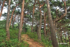 화진포역사안보전시관 - 주변 여행 및 근처 관광 명소 - 국내 여행 정보와 관광 명소 정보