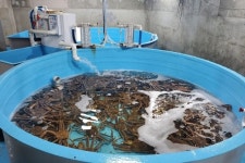 앞산울진대게 본점 음식점 정보와 주변 관광 명소 및 근처 맛집 여행 정보