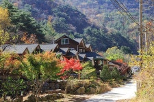 카페나전역(나전카니발농업회사법인주식회사) - 주변 여행 및 근처 관광 명소 - 국내 여행 정보와 관광 명소 정보