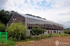 Foto aus Naver-Suchergebnissen 3