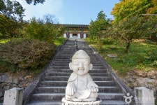 도리사(구미) 관광 정보와 주변 관광 명소 및 근처 맛집 여행 정보