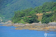 금갑해변 관광 정보와 주변 관광 명소 및 근처 맛집 여행 정보