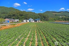 춘천 솔바우마을 관광 정보와 주변 관광 명소 및 근처 맛집 여행 정보