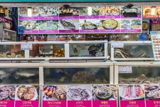 Busan Haeundae Market (부산 해운대시장) - Shopping - Korea travel and tourism information