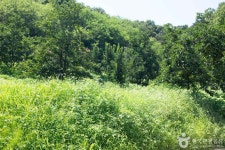 상주 금흔리 이부곡 토성 관광 정보와 주변 관광 명소 및 근처 맛집 여행 정보