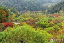 정원식당 - 주변 여행 및 근처 관광 명소 - 국내 여행 정보와 관광 명소 정보