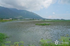 포항저수지 레저스포츠 정보와 주변 관광 명소 및 근처 맛집 여행 정보