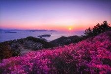 대금산(거제) 관광 정보와 주변 관광 명소 및 근처 맛집 여행 정보