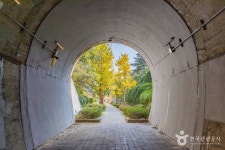 노암터널 관광 정보와 주변 관광 명소 및 근처 맛집 여행 정보