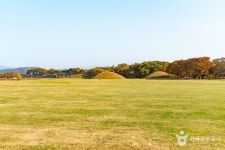경주 동부 사적지대 관광 정보와 주변 관광 명소 및 근처 맛집 여행 정보