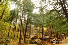 Cheongtaesan National Recreational Forest (국립 청태산자연휴양림) - Sightseeing - Korea travel and tourism information