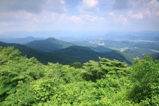 우진갯벌장어 - 주변 여행 및 근처 관광 명소 - 국내 여행 정보와 관광 명소 정보
