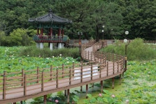 들성생태공원 - 주변 여행 및 근처 관광 명소 - 국내 여행 정보와 관광 명소 정보