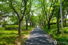 흙과사람들 - 주변 여행 및 근처 관광 명소 - 국내 여행 정보와 관광 명소 정보