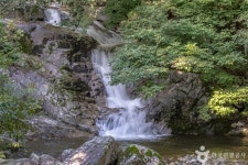 국립대관령자연휴양림 관광 정보와 주변 관광 명소 및 근처 맛집 여행 정보