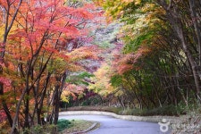백아산자연휴양림 관광 정보와 주변 관광 명소 및 근처 맛집 여행 정보