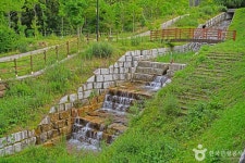 산수유 자연휴양림 관광 정보와 주변 관광 명소 및 근처 맛집 여행 정보