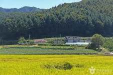 춘천 솔바우마을 관광 정보와 주변 관광 명소 및 근처 맛집 여행 정보