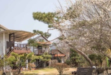 남이섬하늘사랑 숙박 정보와 주변 관광 명소 및 근처 맛집 여행 정보