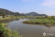 잔잔한 식탁 - 주변 여행 및 근처 관광 명소 - 국내 여행 정보와 관광 명소 정보