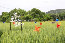 양평밀축제 최신 축제 공연 행사 정보와 주변 관광 명소 및 근처 맛집 여행 정보