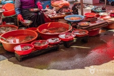 부산 기장시장 쇼핑 정보와 주변 관광 명소 및 근처 맛집 여행 정보