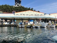 해마루 펜션 - 주변 여행 및 근처 관광 명소 - 국내 여행 정보와 관광 명소 정보