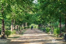 구리한강시민공원(코스모스공원) 관광 정보와 주변 관광 명소 및 근처 맛집 여행 정보