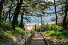 감추해변 관광 정보와 주변 관광 명소 및 근처 맛집 여행 정보