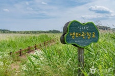 남대천 생태관찰로 관광 정보와 주변 관광 명소 및 근처 맛집 여행 정보