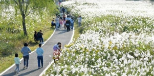 맥문동 - 주변 여행 및 근처 관광 명소 - 국내 여행 정보와 관광 명소 정보