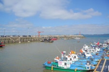 서해송 - 주변 여행 및 근처 관광 명소 - 국내 여행 정보와 관광 명소 정보