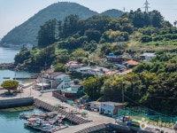 조도 관광 정보와 주변 관광 명소 및 근처 맛집 여행 정보